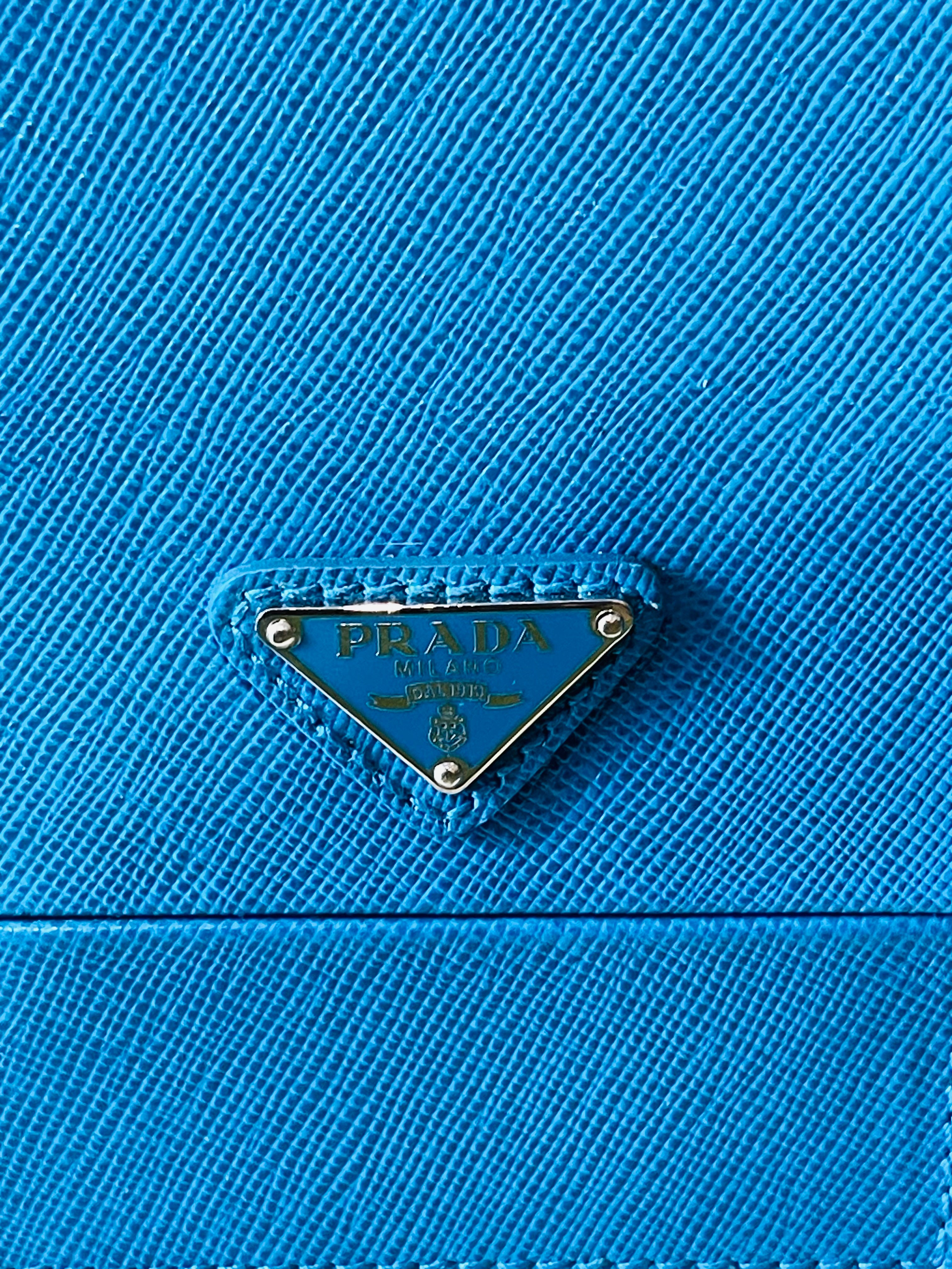 Prada Cosmetic Leather Case — IMG_5423