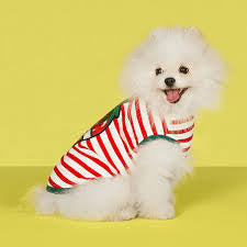 Gucci GG Striped Pet Polo