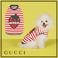 Gucci GG Striped Pet Polo